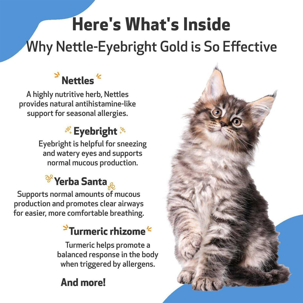 Nettle Eyebright for Dogs T56772