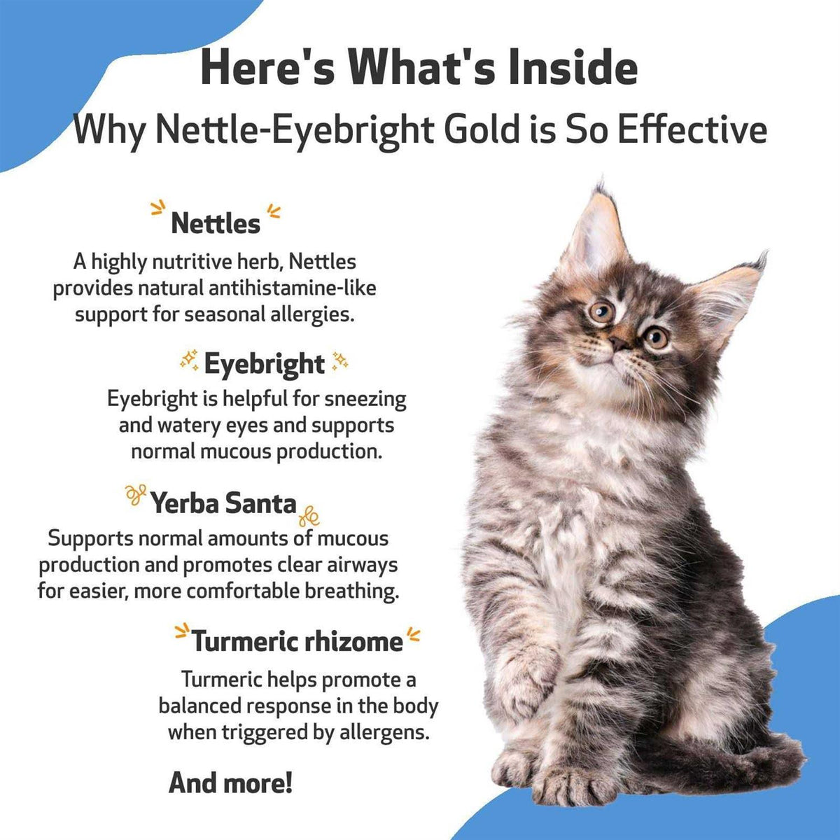 Nettle Eyebright for Dogs T56772