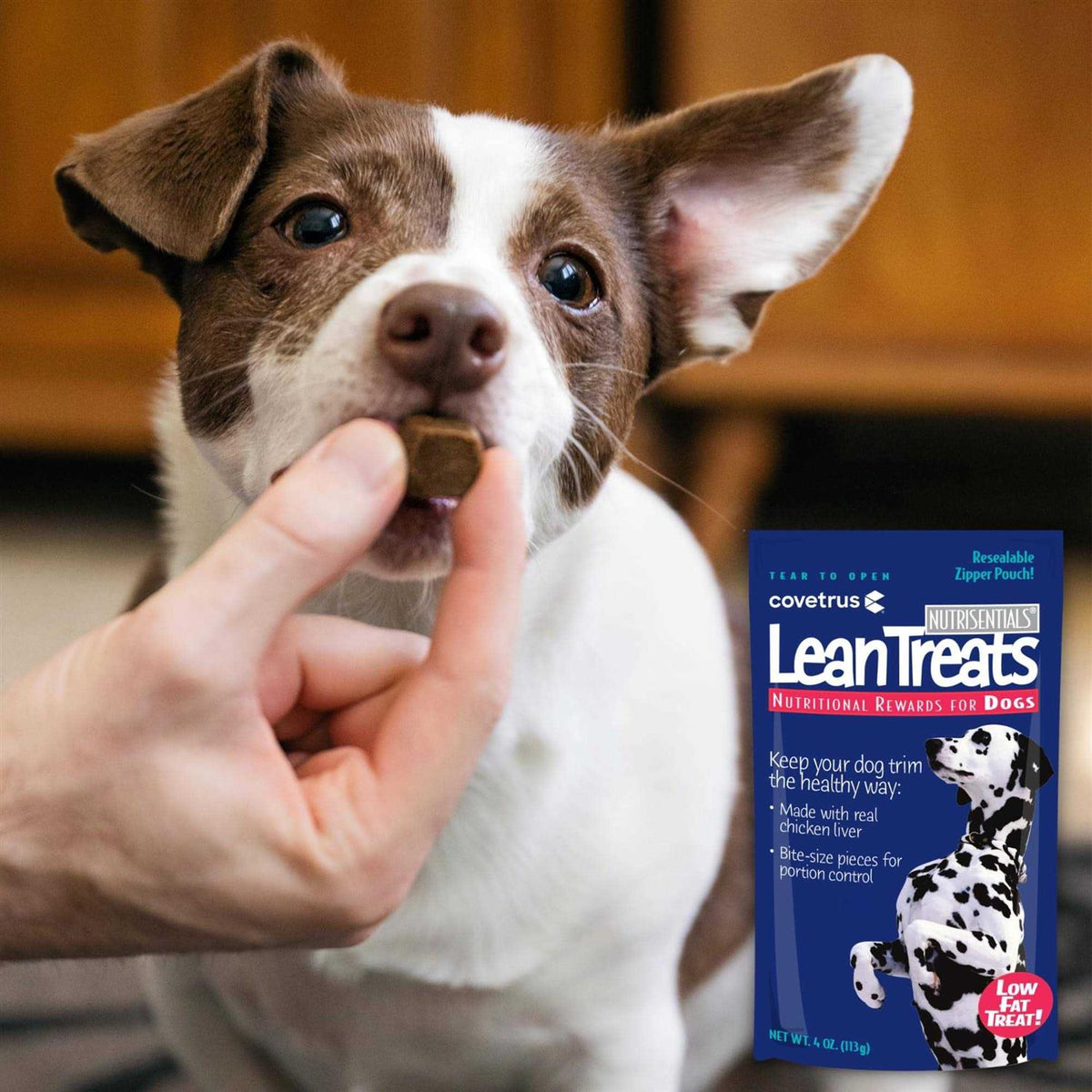 Lean Treats Dogs X85795