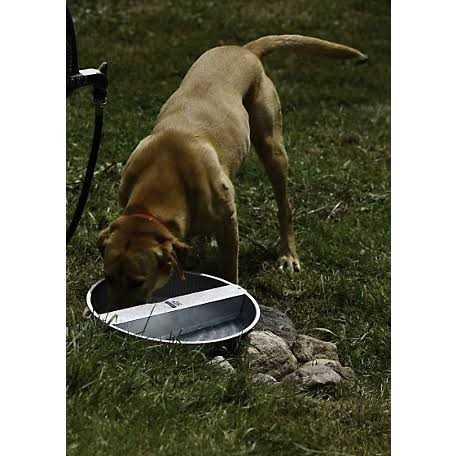 Galvanized Pet Bowl H393