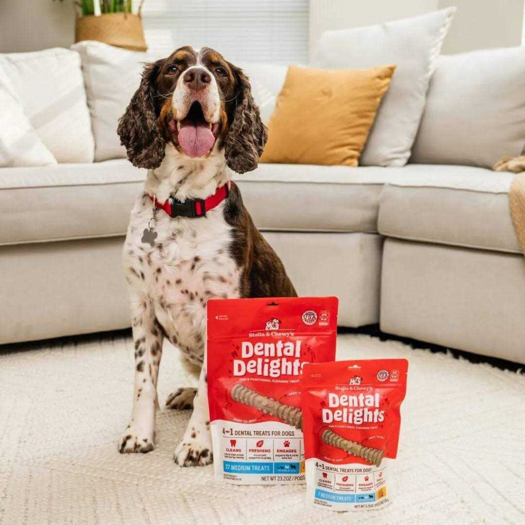 Dog Treats L955