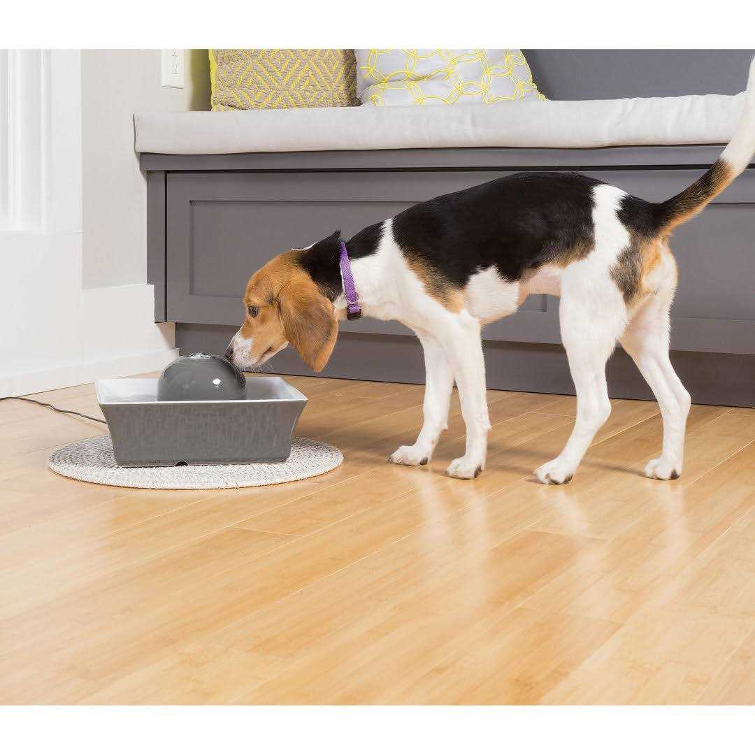 Pet Fountain Y8090