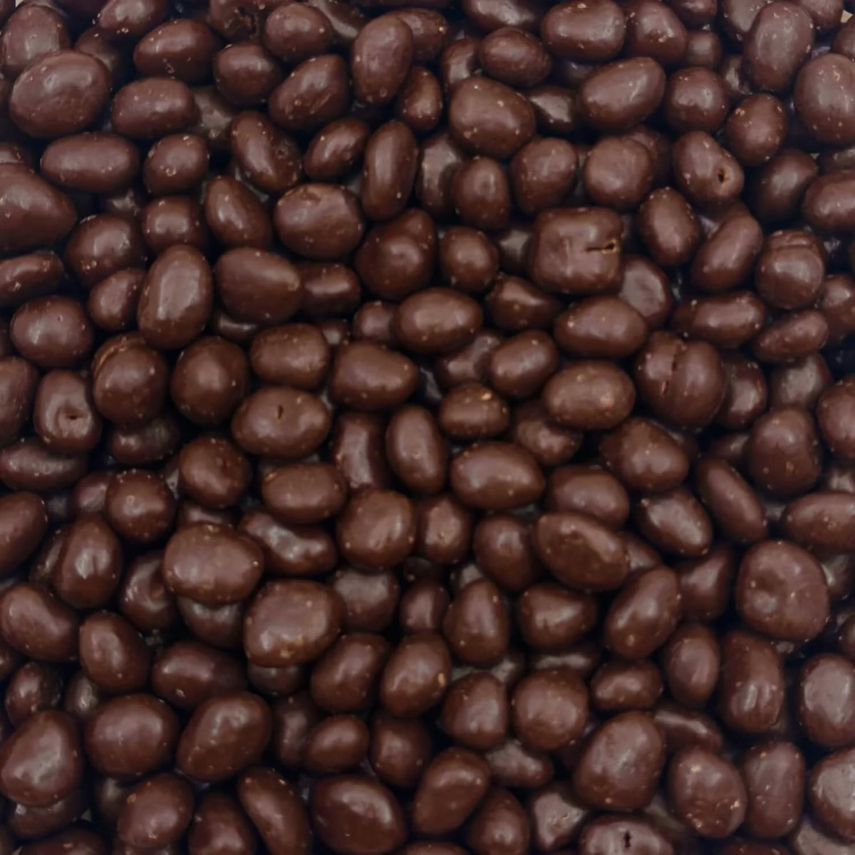 Dark Chocolate Covered Raisins 2-Pound Bag W5422
