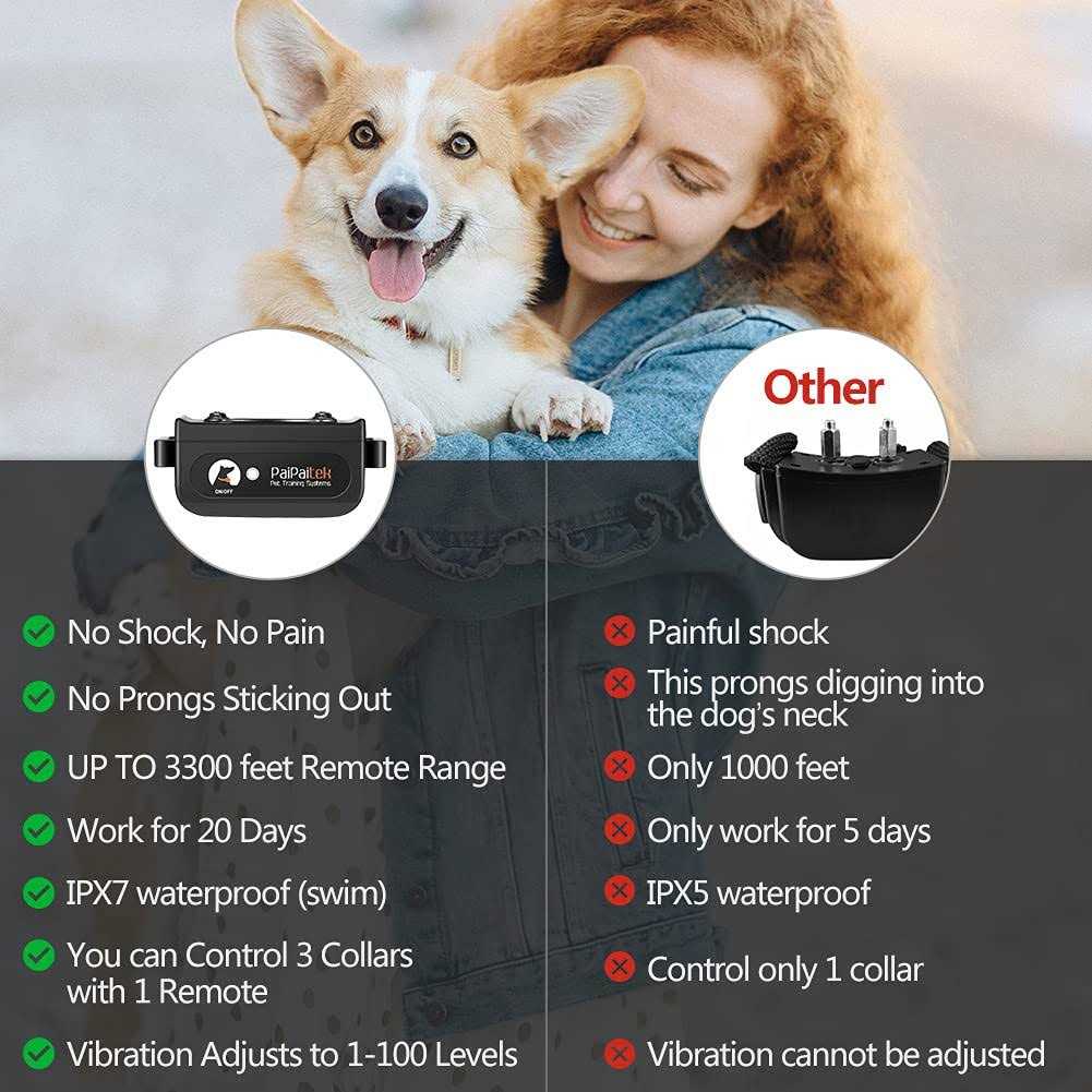 Dog Training Collar with Remote S492