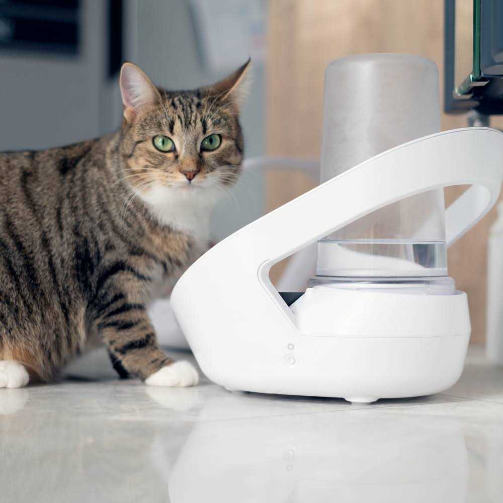 Felaqua Connect Pet Supplies C430