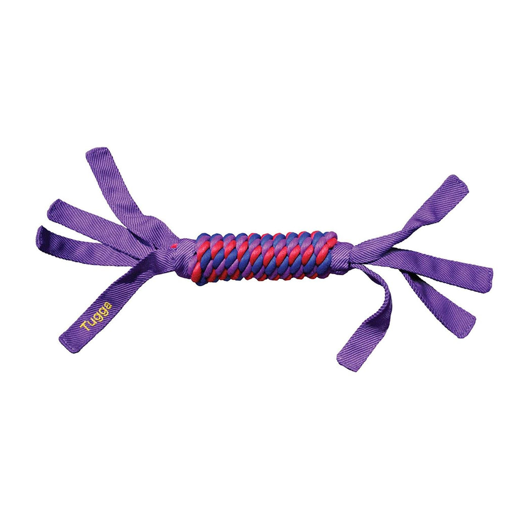 Dog Toy Y561175