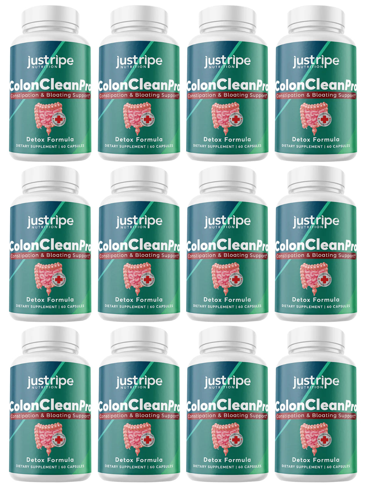 12 Pack Natural Digestive Support Supplement 60ct Y2918