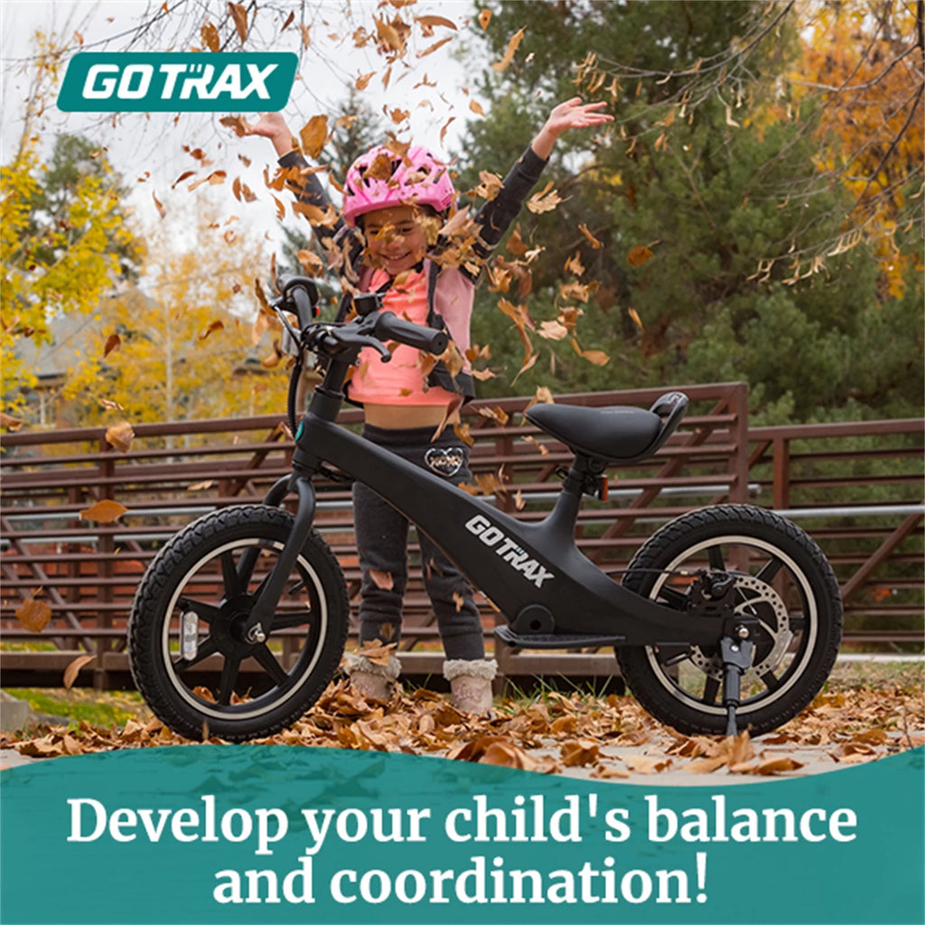 250W Electric Bike for Kids H963193
