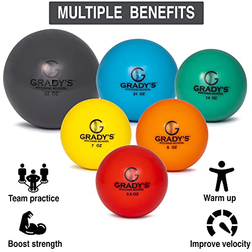 Weighted Training Ball Set with Carrying Case Q46543