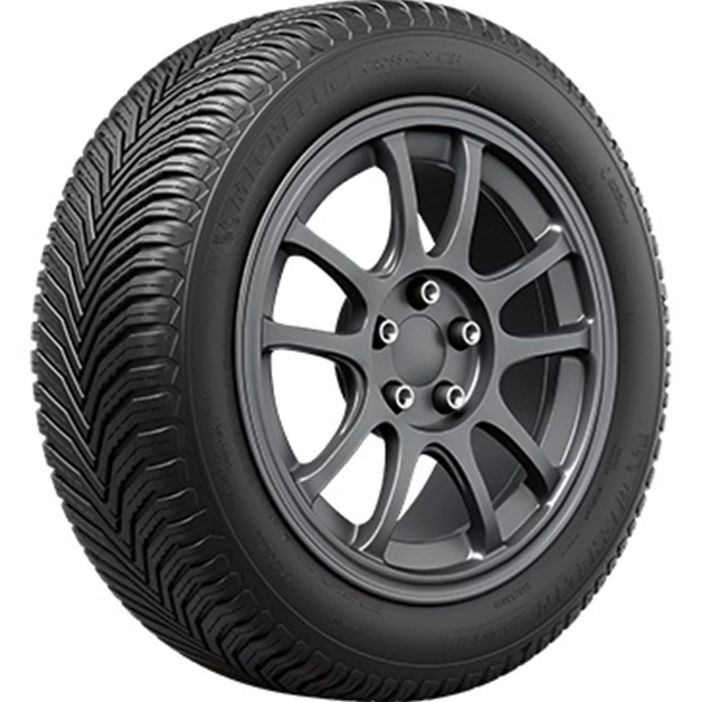 All Weather 245/55R19 103V Tire R18292