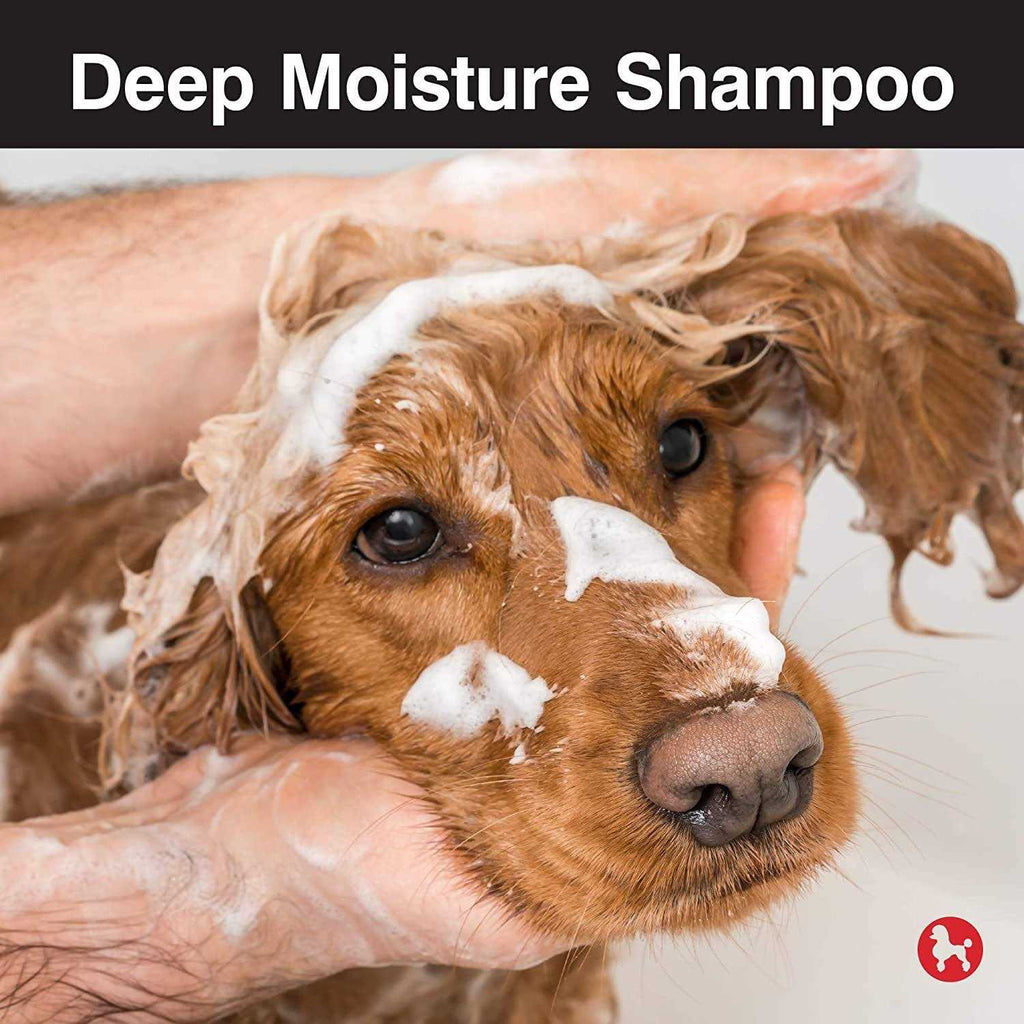 Dog Deep Moisture Shampoo S69873