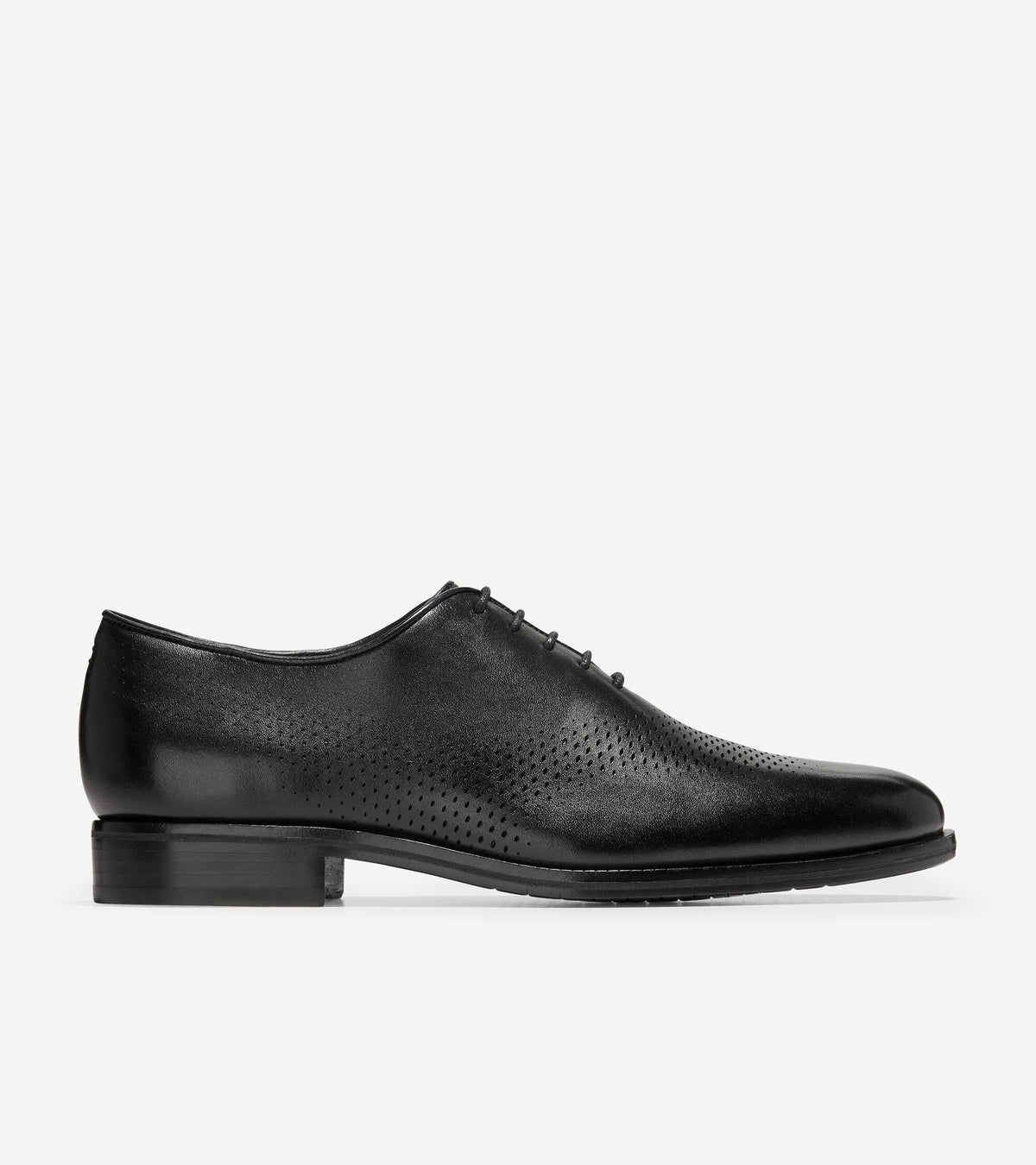 Black Wing Oxford B865
