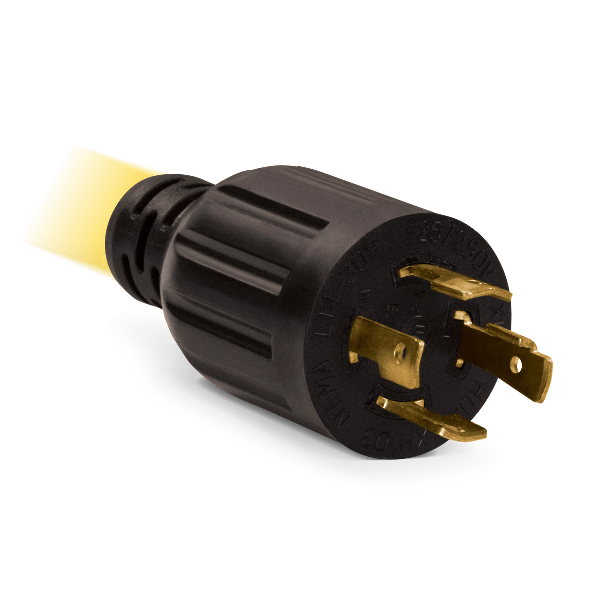 25-Foot 30-Amp Generator Extension Cord F737