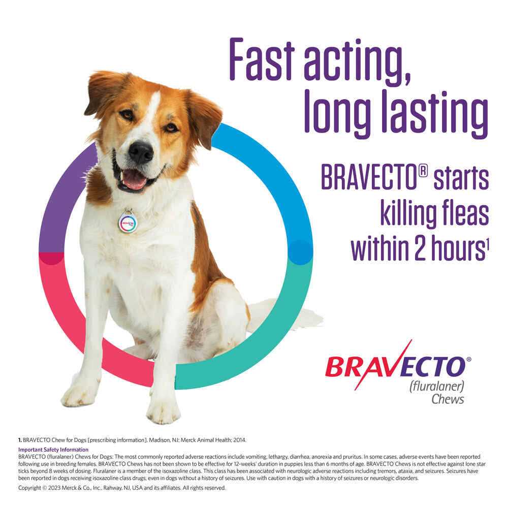 Bravecto Chews for Dogs D1469
