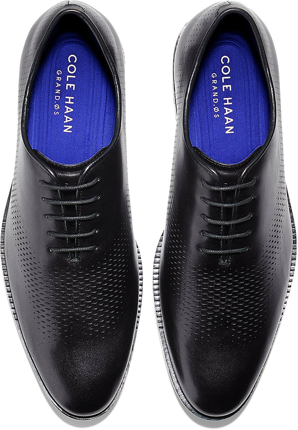 Black Wing Oxford B865
