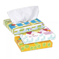 White Two Ply Facial Tissue 80 Boxes C63235