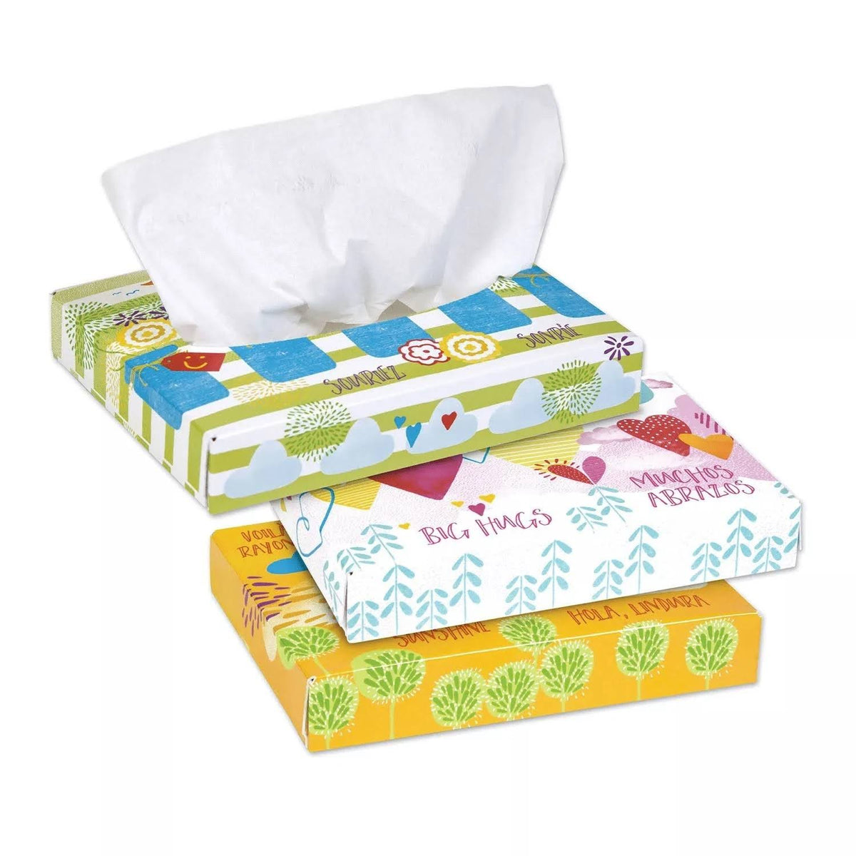 White Two Ply Facial Tissue 80 Boxes C63235