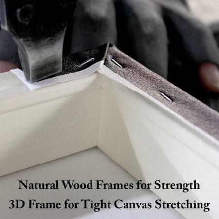 Canvas J740226