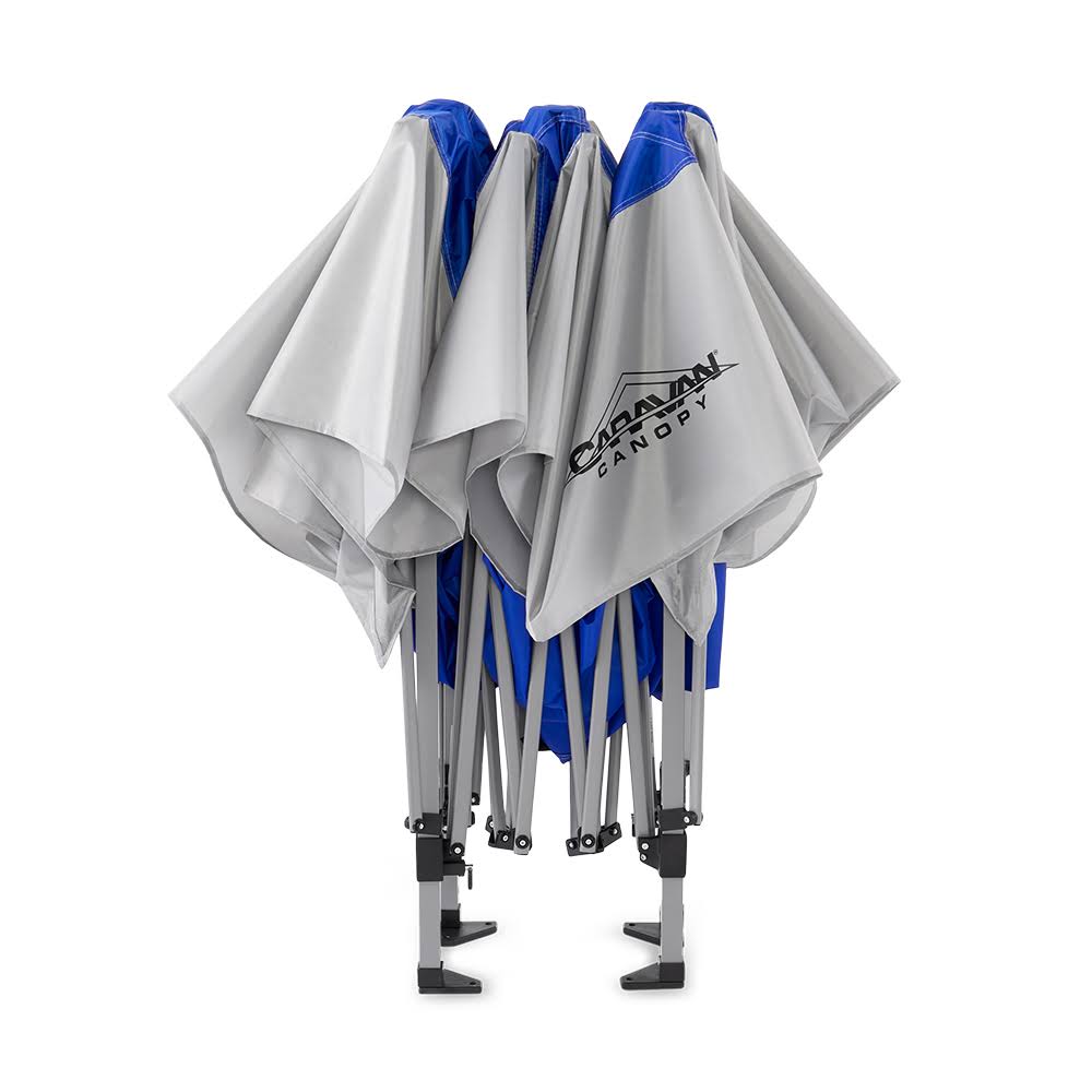 Blue Canopy D228362