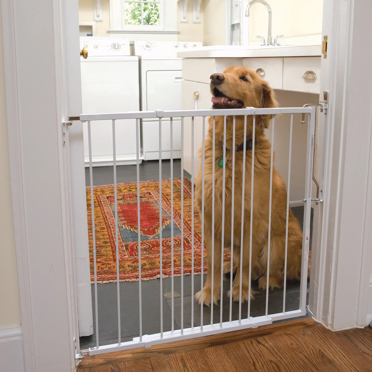 White Pet Safety Gate 26.5" to 41.5" Wide x 29.5" Tall P577507