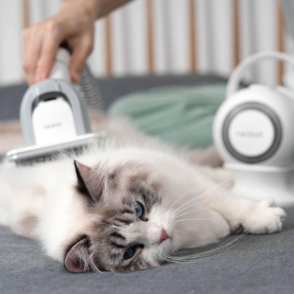 Pet Grooming Kit & Vacuum F6429