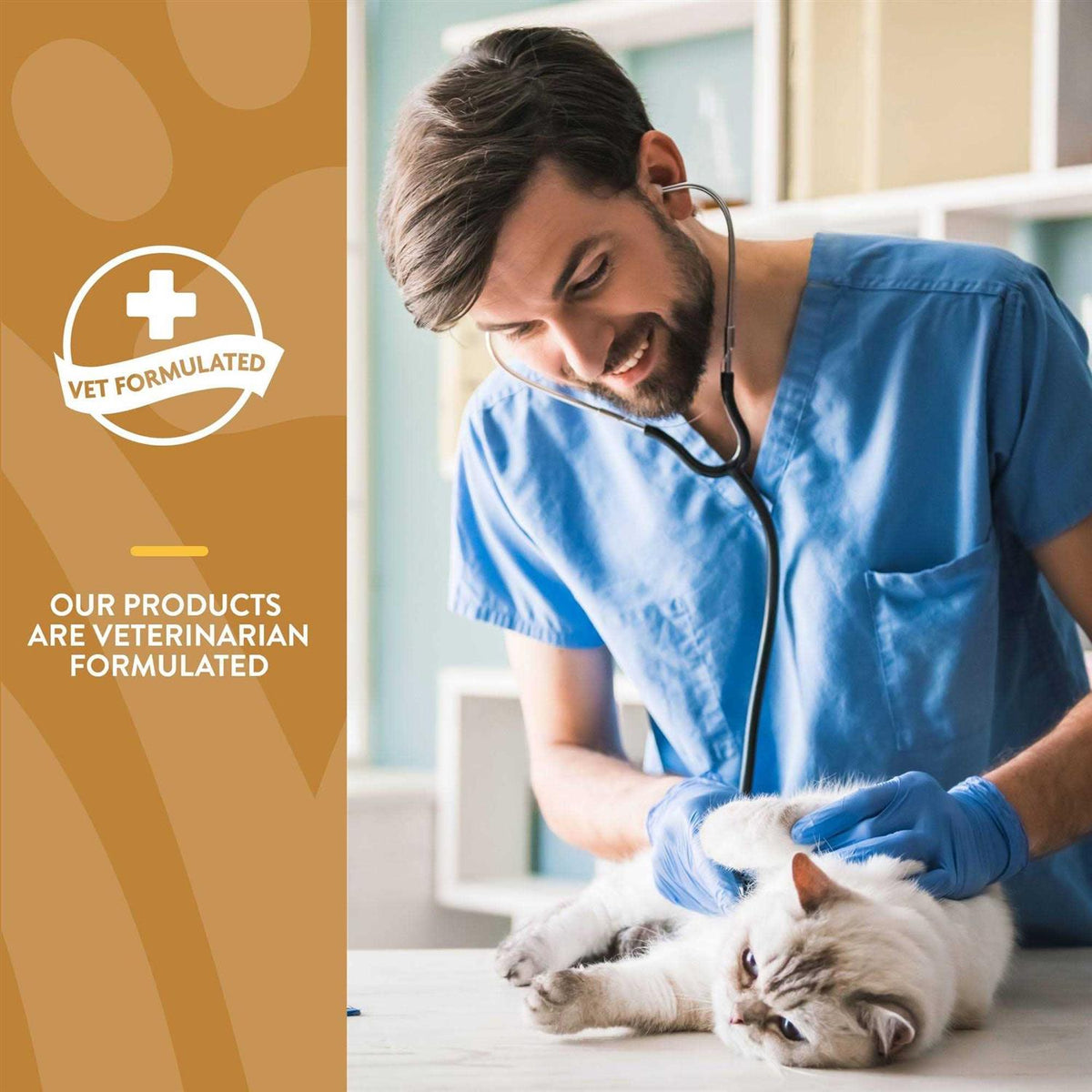 Skin & Coat Plus Omegas for Cats H71431