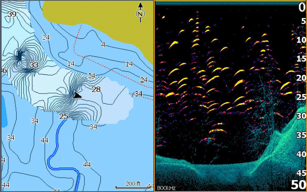 Fish finder with Down scan Imaging P492606