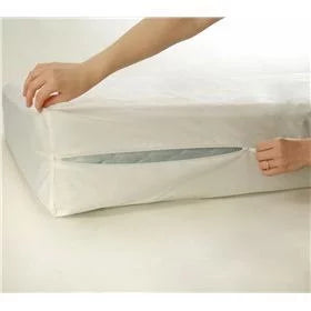 King Plush Pillowtop Mattress Set with Mattress Cover W1758