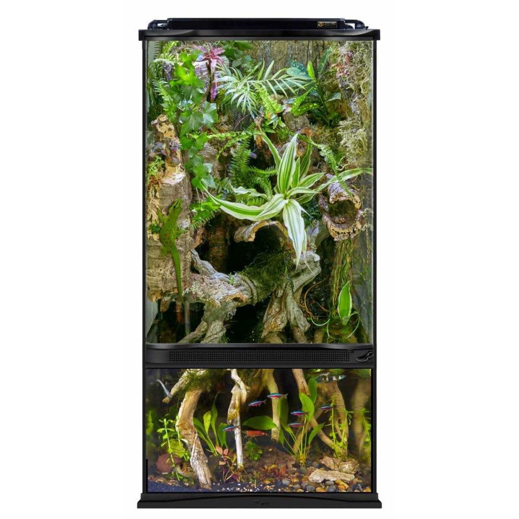 Paludarium Terrarium and Aquarium O546