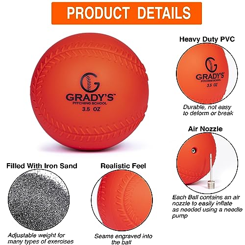 Weighted Training Ball Set with Carrying Case Q46543