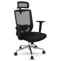 Ergonomic Mesh Office Chair with Lumbar Support S863355