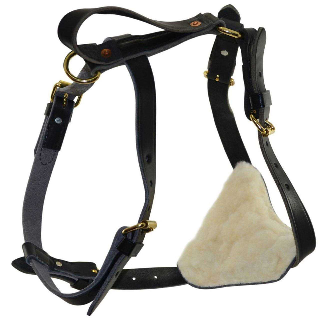 Leather Tracking Harness S610