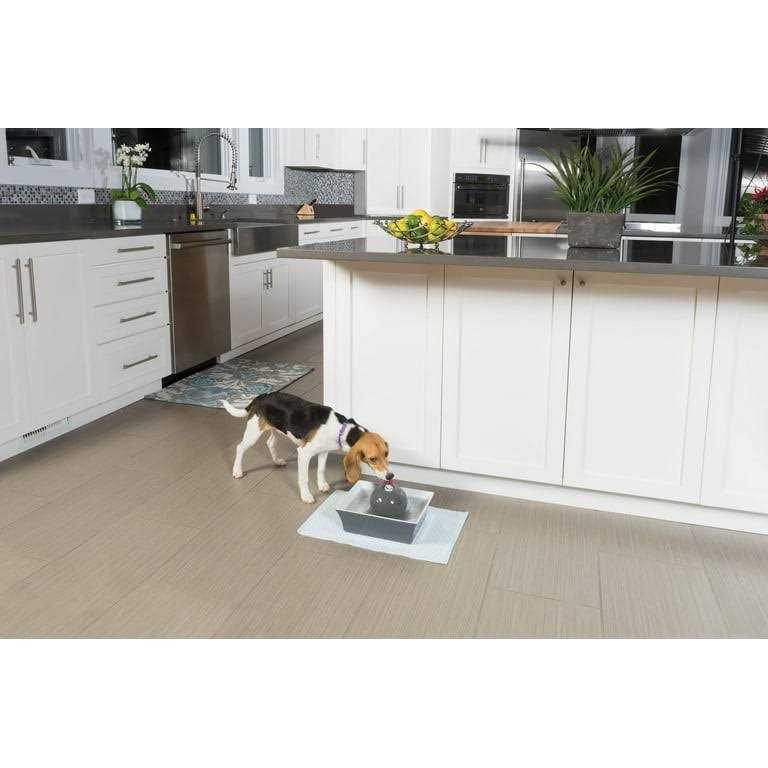 Pet Fountain Y8090
