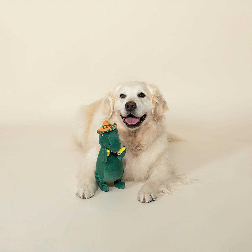 Dog Toy Q81740