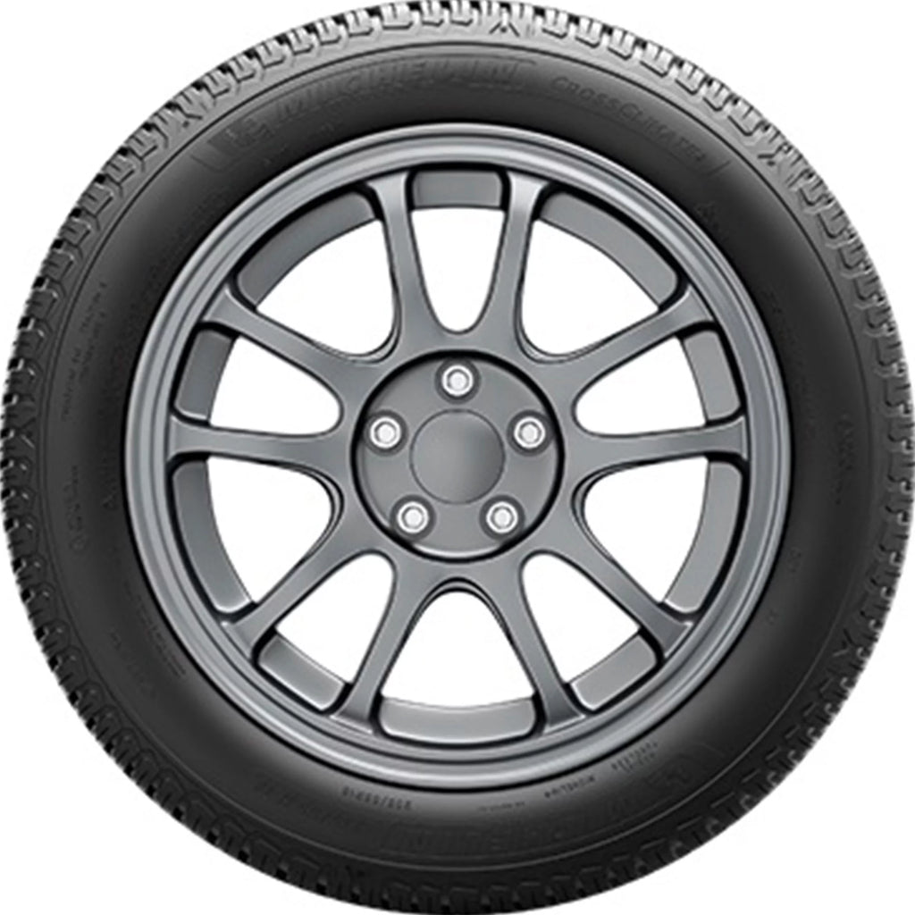 All Weather 245/55R19 103V Tire R18292