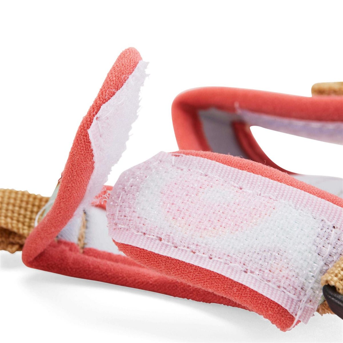 Ferret Harness and Leash I60740