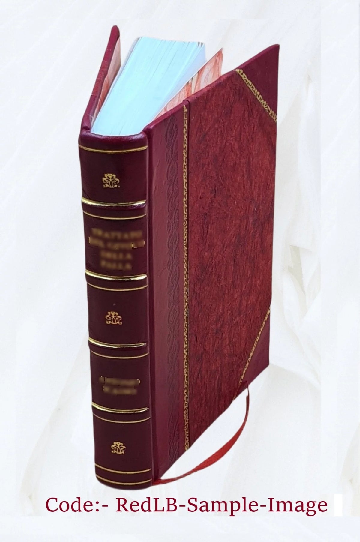 Guide pratique des villes d'eaux 1910 Leather Bound O694