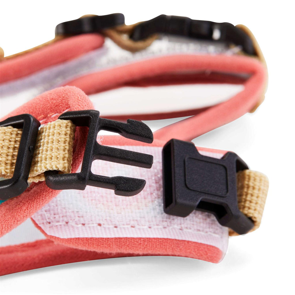 Ferret Harness and Leash I60740