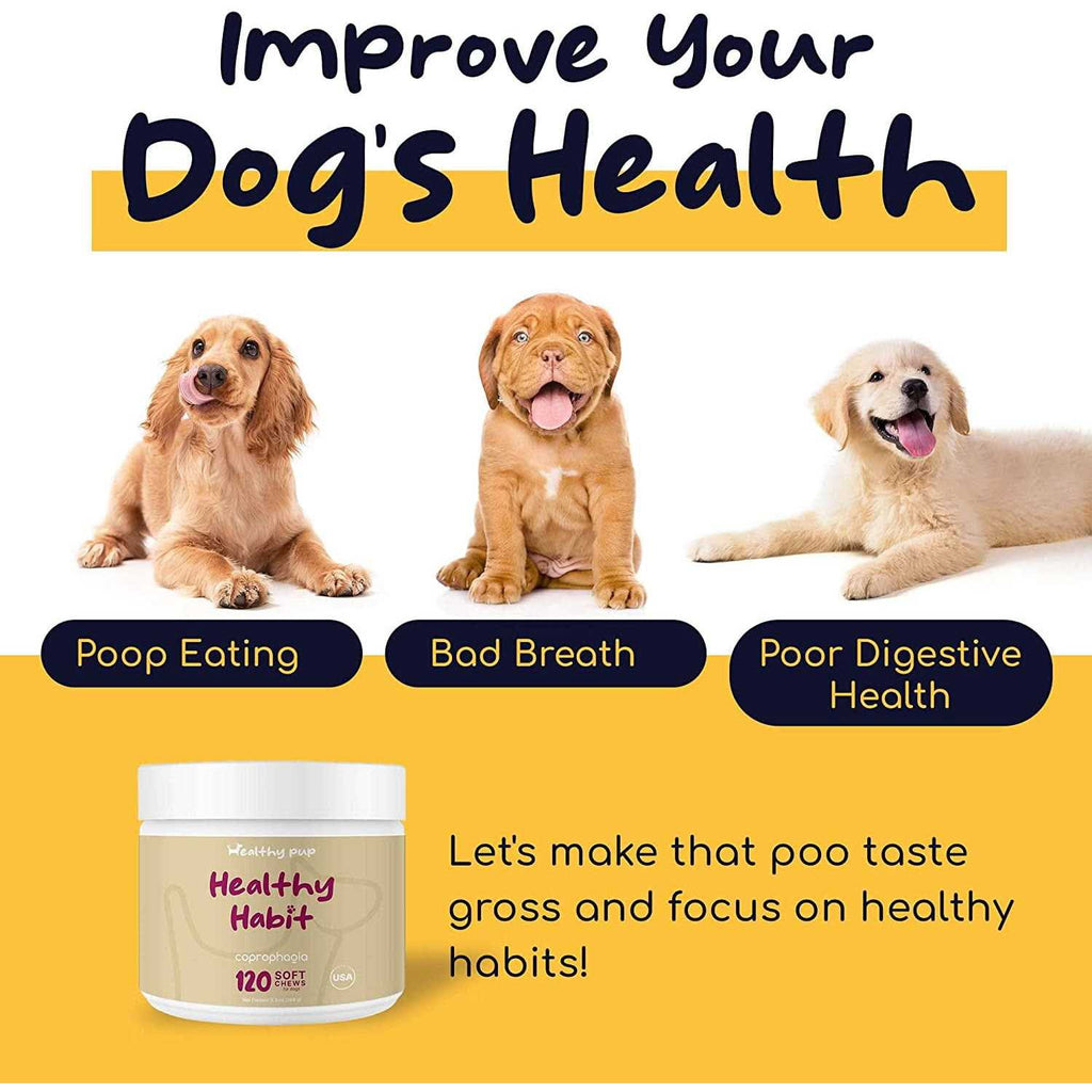 Coprophagia Supplement for Dogs V717349