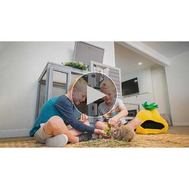 Indoor Outdoor Rabbit O647