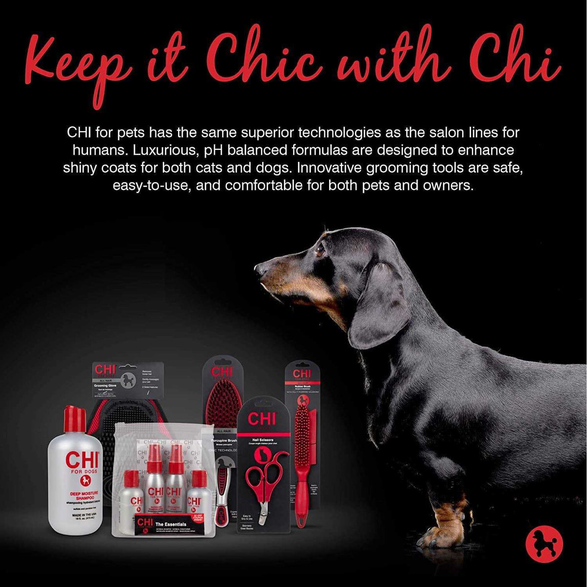 Dog Deep Moisture Shampoo S69873