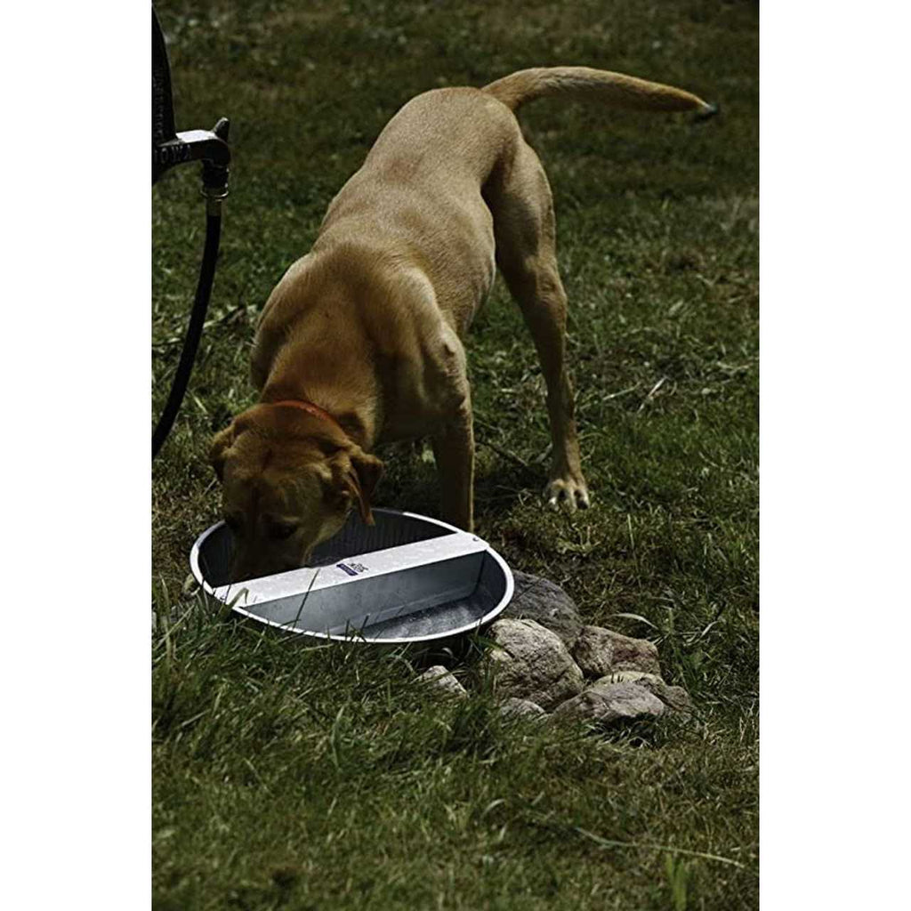 Galvanized Pet Bowl H393