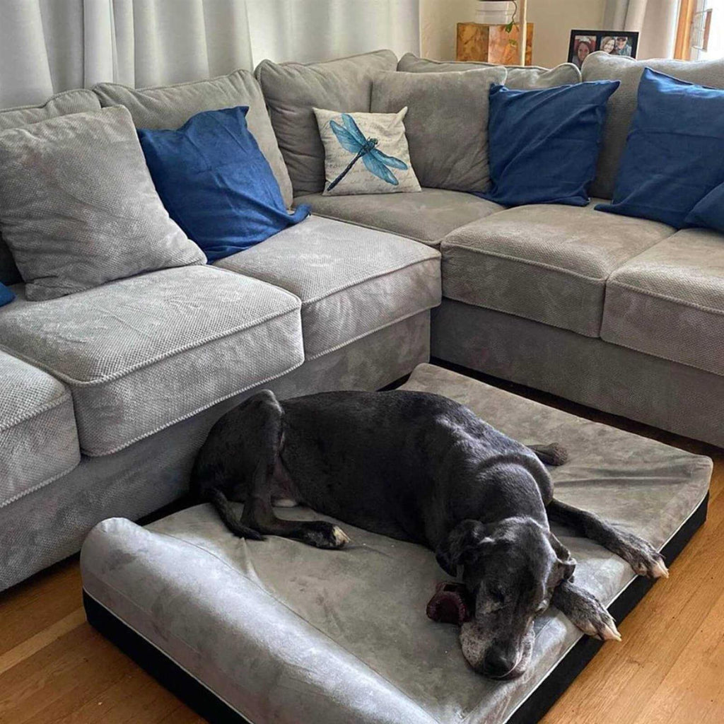 Large Dog Bed Orthopedic Memory Foam G724