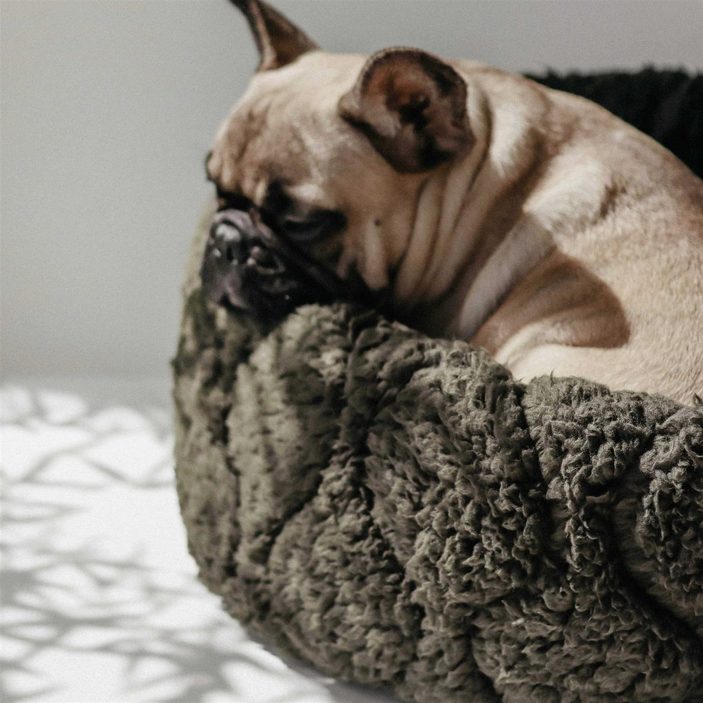 Reversible Donut Pet Bed F82733