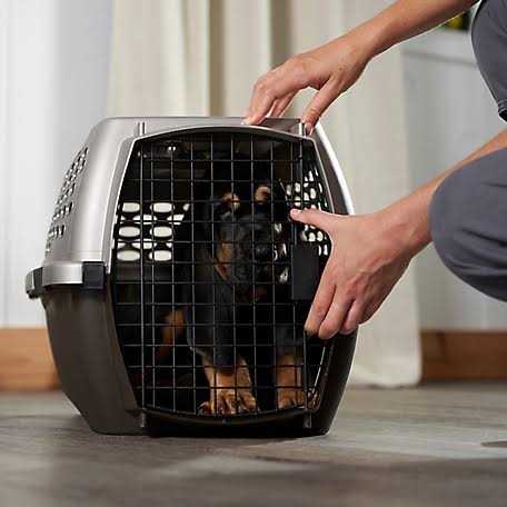 Medium Gray Pet Carrier W491780