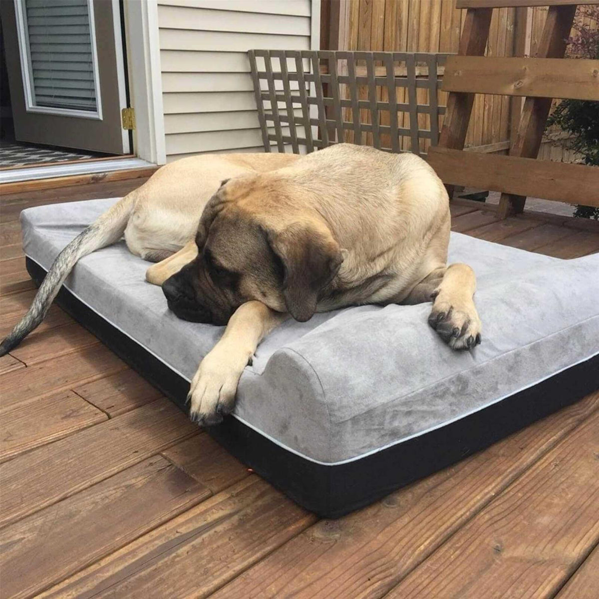 Large Dog Bed Orthopedic Memory Foam G724