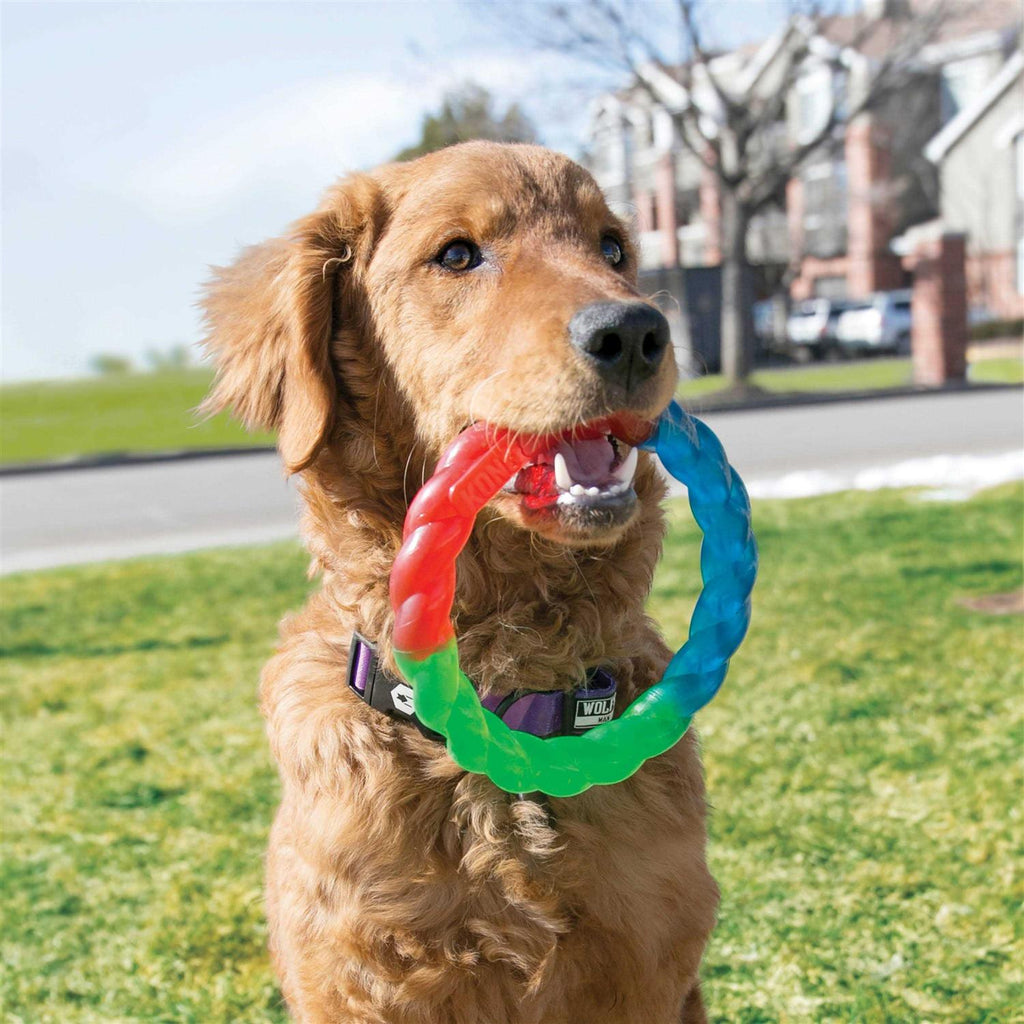 Dog Toy Z77537