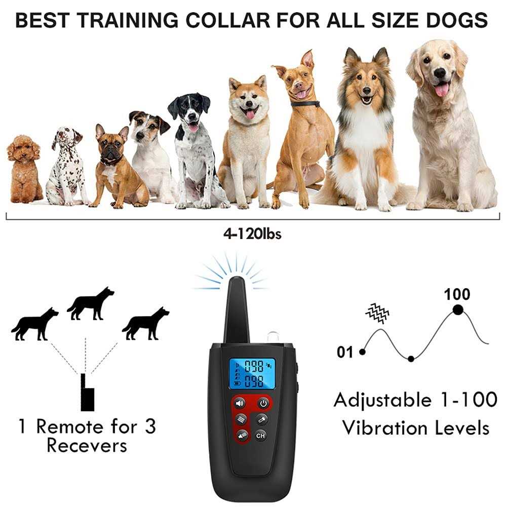 Dog Training Collar with Remote S492