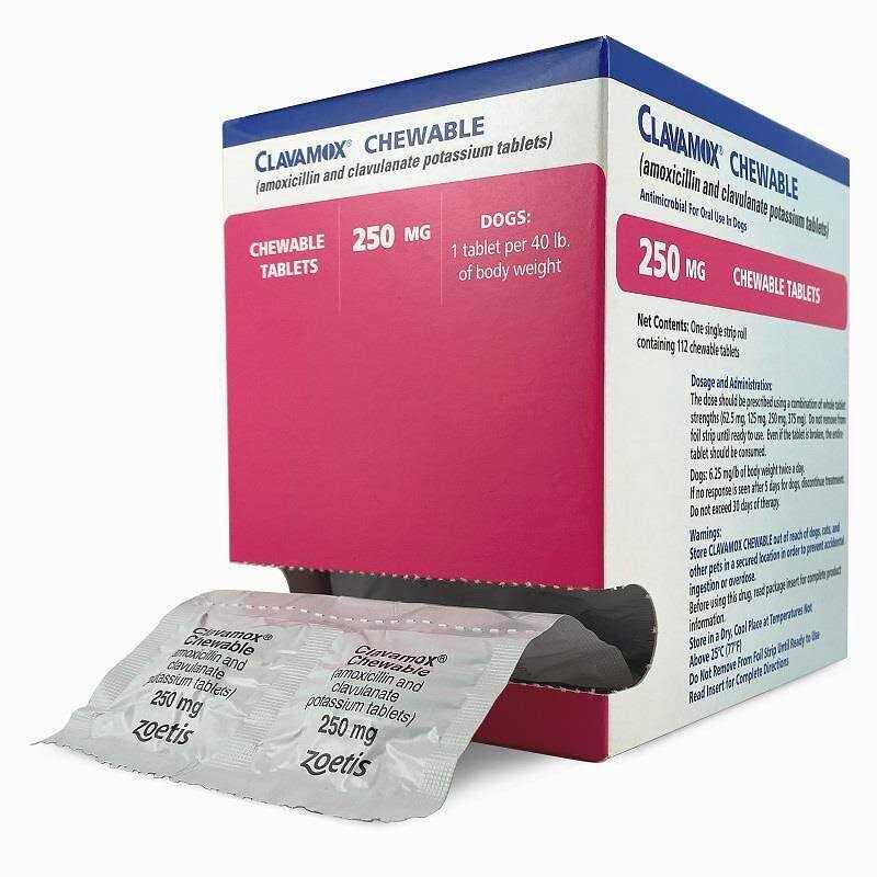 Chewable Pet Supplies T4684