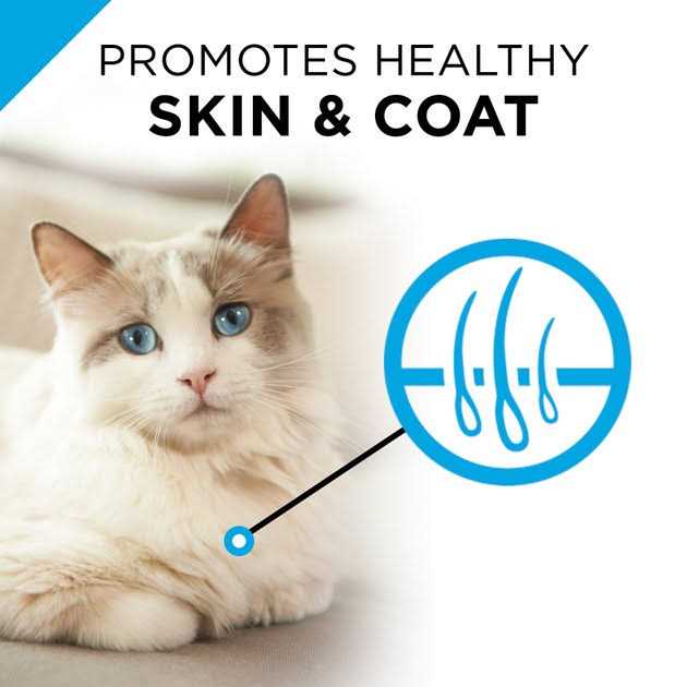 Sensitive Skin & Stomach Cat Food L81999
